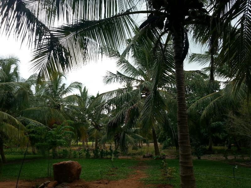 Serenity Lake Resort Yala Tissamaharama Exterior foto
