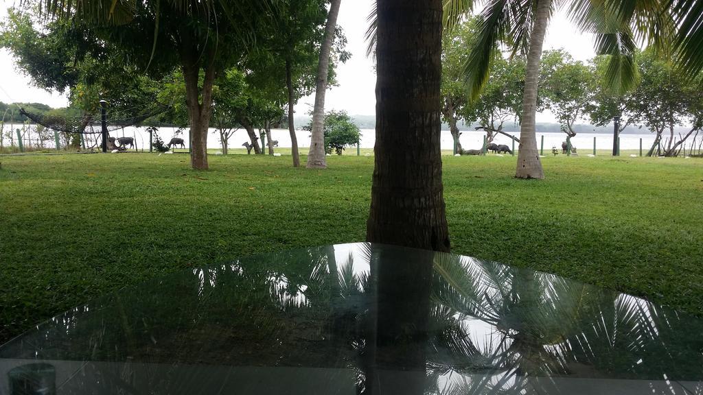 Serenity Lake Resort Yala Tissamaharama Exterior foto