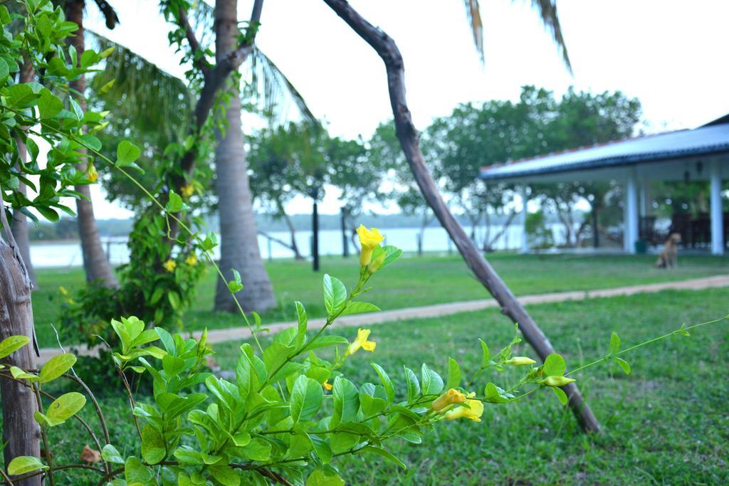 Serenity Lake Resort Yala Tissamaharama Exterior foto